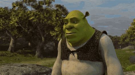 shrek gifs|gay shrek gif.